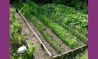 jardinage et maintien a domicile Jardiner : un excellent moyen de garder la forme