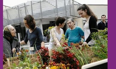 Qu'est ce que « les jardins thérapeutiques » ?