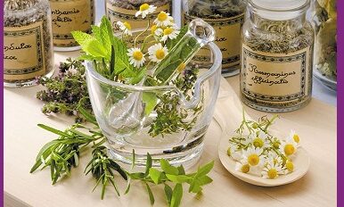 plantes-medicinales-traitement-naturel-memoire-concentration Booster mémoire et concentration grâce aux plantes