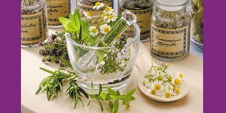 Booster mémoire et concentration grâce aux plantes